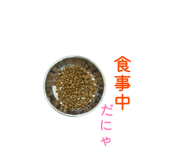 841128112
