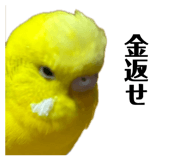 841128834