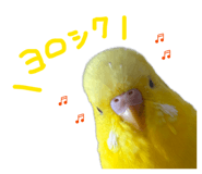 841128841