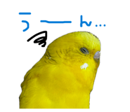 841128843