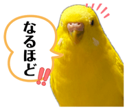 841128846