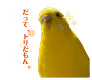 841128848