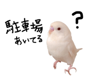 841128989