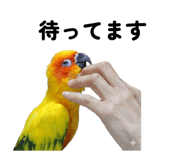 841128998