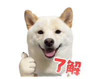 841129009