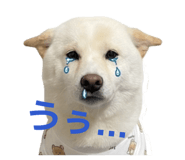 841129013