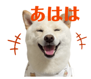 841129014