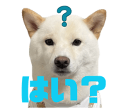 841129015