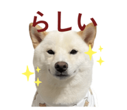 841129017