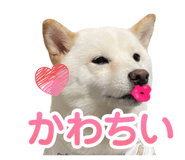 841129019