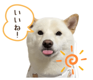 841129024