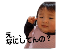 841129146