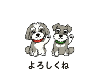 841129209