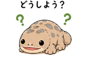 841129389