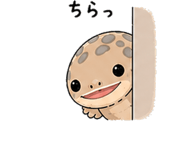 841129393