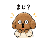 841129597