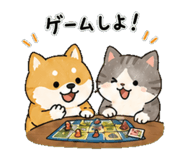 841129953