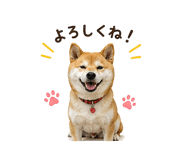 841130001
