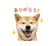 841130002