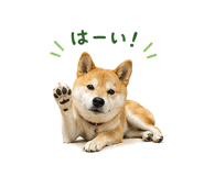 841130003