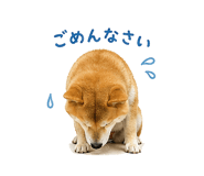 841130004