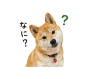 841130005