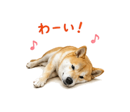 841130006
