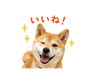 841130008