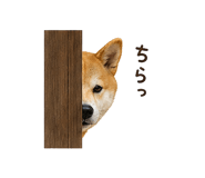 841130009