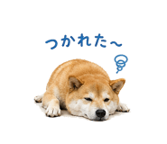 841130010