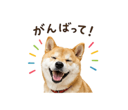 841130011