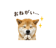 841130013