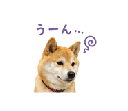 841130014