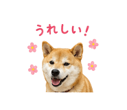 841130015