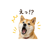 841130016