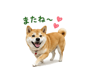 841130017