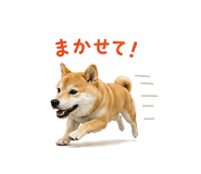 841130018