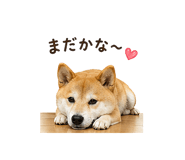 841130019