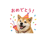 841130020