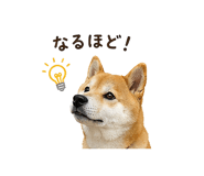 841130021