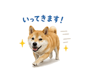 841130022