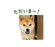841130023