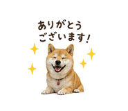 841130024