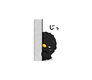 841130217