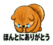841130666