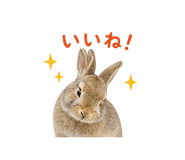 841130848