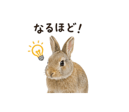 841130861