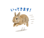 841130862
