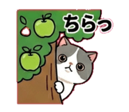 841131127