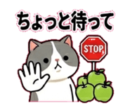 841131143
